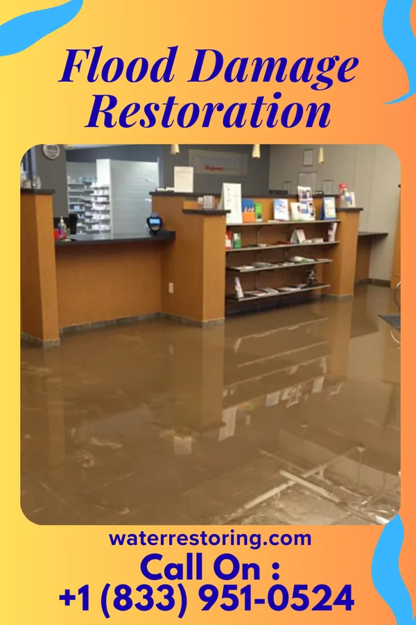 Flood Damage Restoration in Coon Rapids, MN