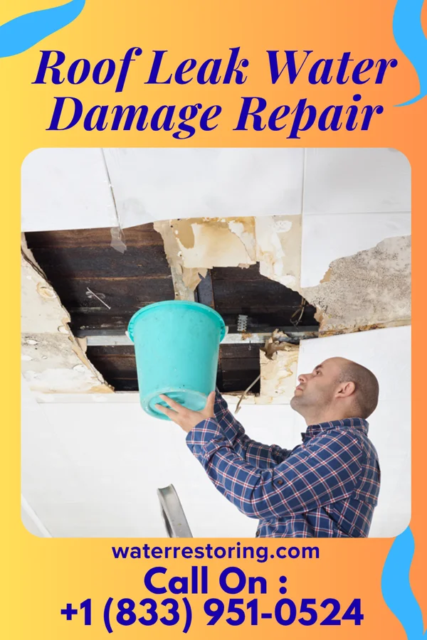 Roof Leak Water Damage Repair in Coon Rapids, MN